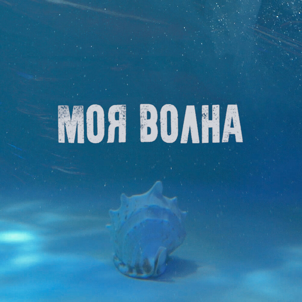Ведущий на моя волна. Моя волна муз тв. Моя волна муз тв ведущие. Я и моя волна. Моя волна муз тв.