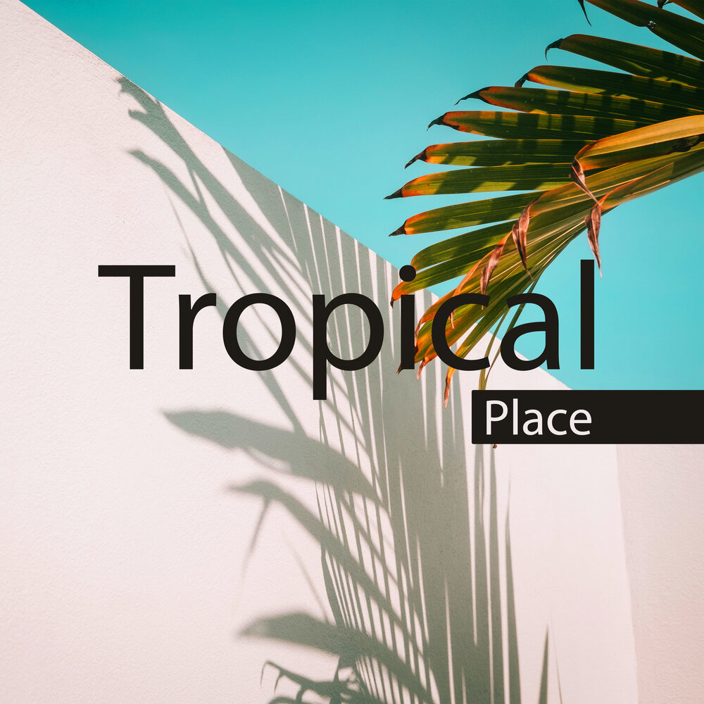 Включи tropical. Chill time. Time to Chill. No time to Chill.