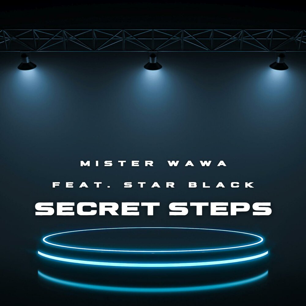Step secrets. Secret Step.