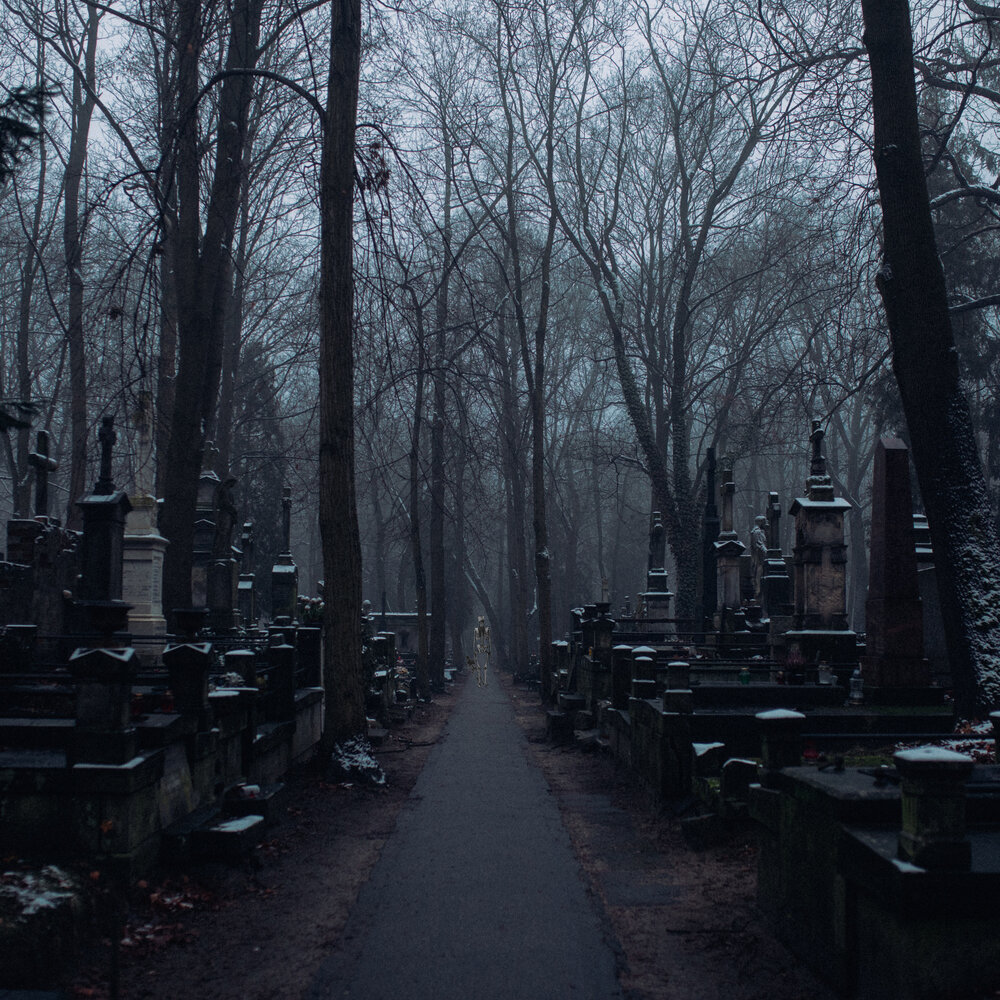 Will become. Became dark. Malist - as i become darkness. Мрачное фэнтези. Became dark.