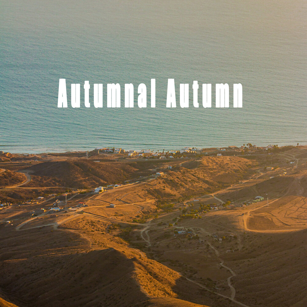 The keys lose yesterday. The keys lose yesterday. The keys lose yesterday. The keys lose yesterday. James always goes to work by car.