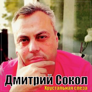 Дмитрий Сокол