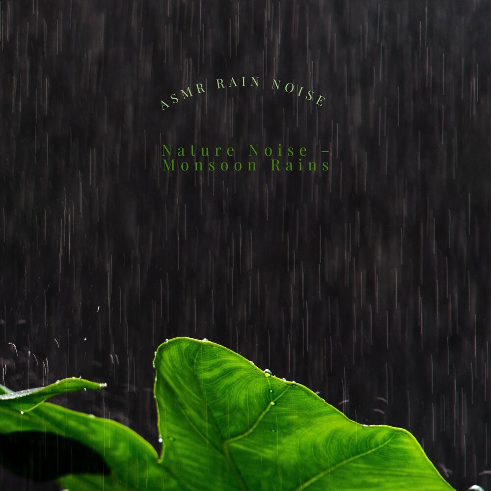 Nature noise. Rain nature. Nature. Rain Music.