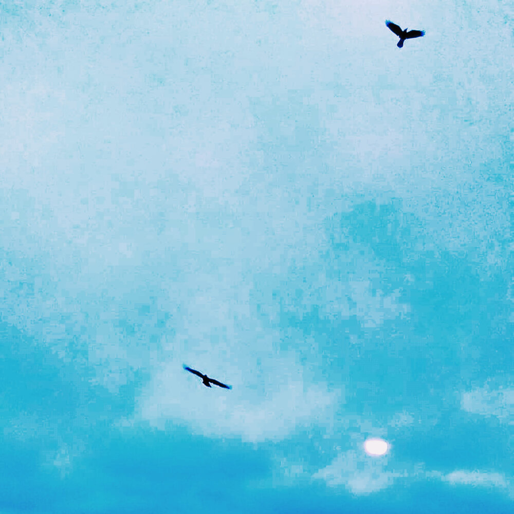 холодно мечтать