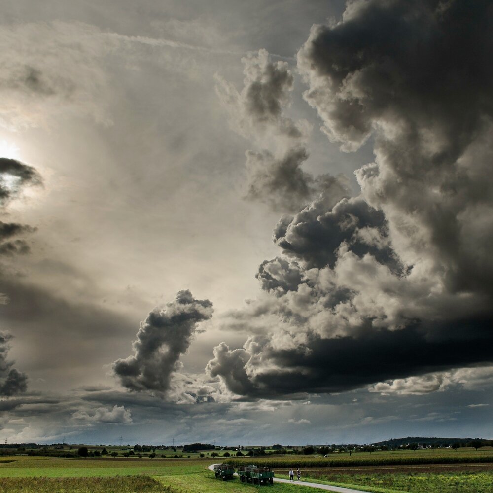 Nature songs. Cloudy.