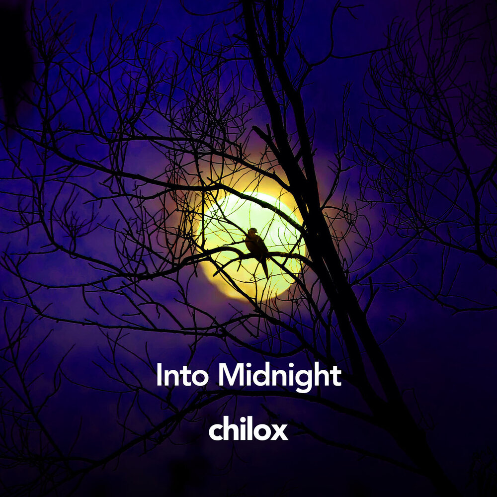 Into the midnight