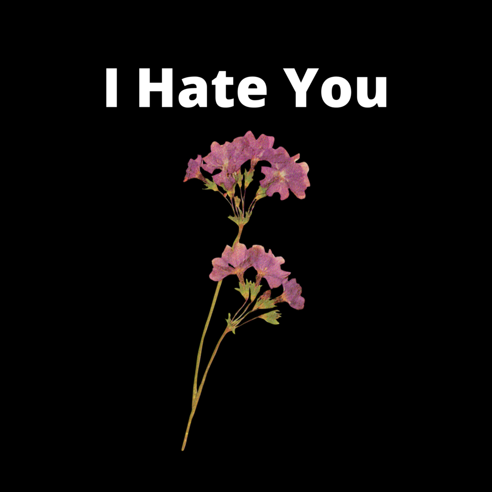 Hate you