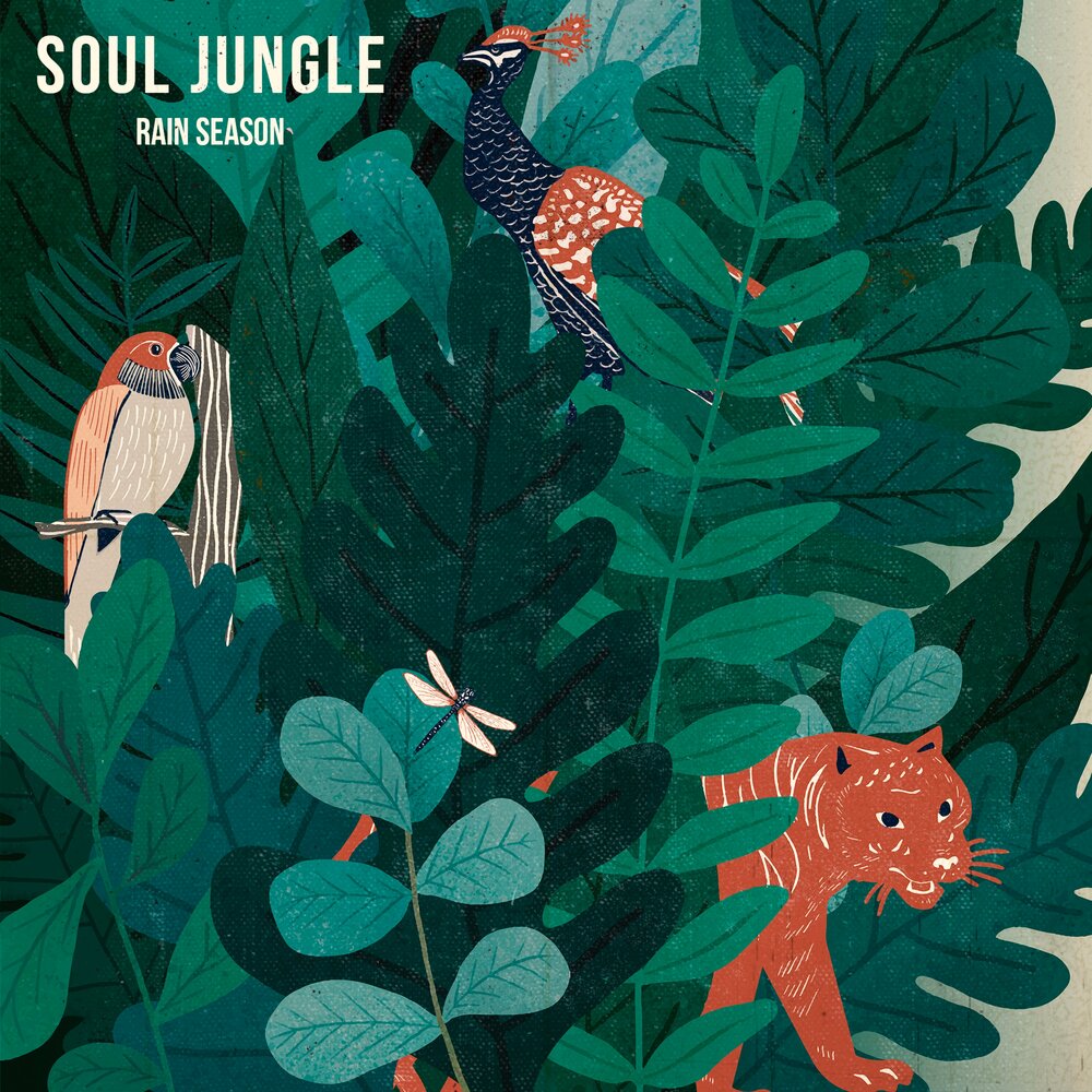 Jungle Soul. Куок Джангл альбом. Jungle Music. Soul seasons