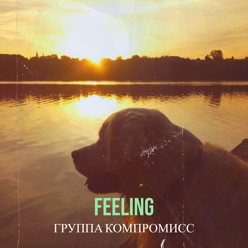 Группа feeling. Группа компромисс. Группа филинс. Компромисс Шнуров слушать.