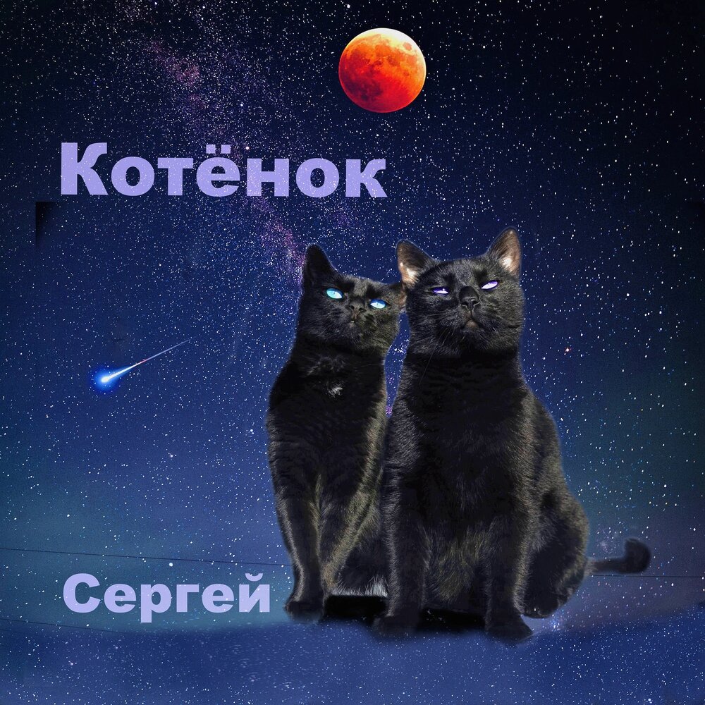 Музыка мой котик. Слушать песню котенок мой. Слушать песню котенок мой. Мои котята. Мои котята.