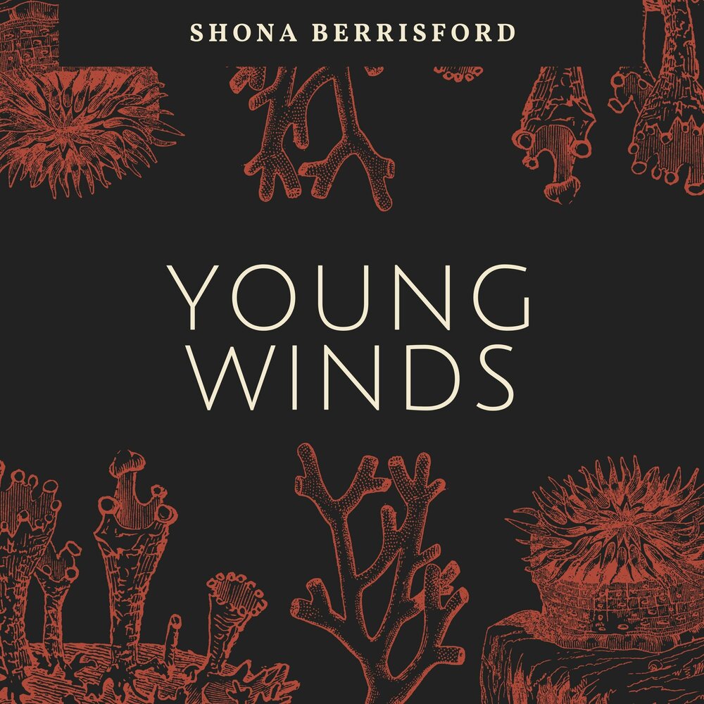 Young winds