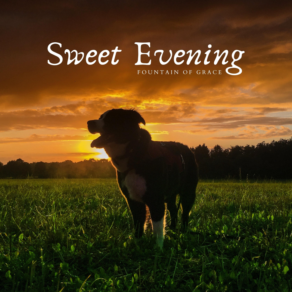 романтический натюрморт. Have a good evening. Sweet evening. красивый вечерний натюрморт. краска бриз logo.