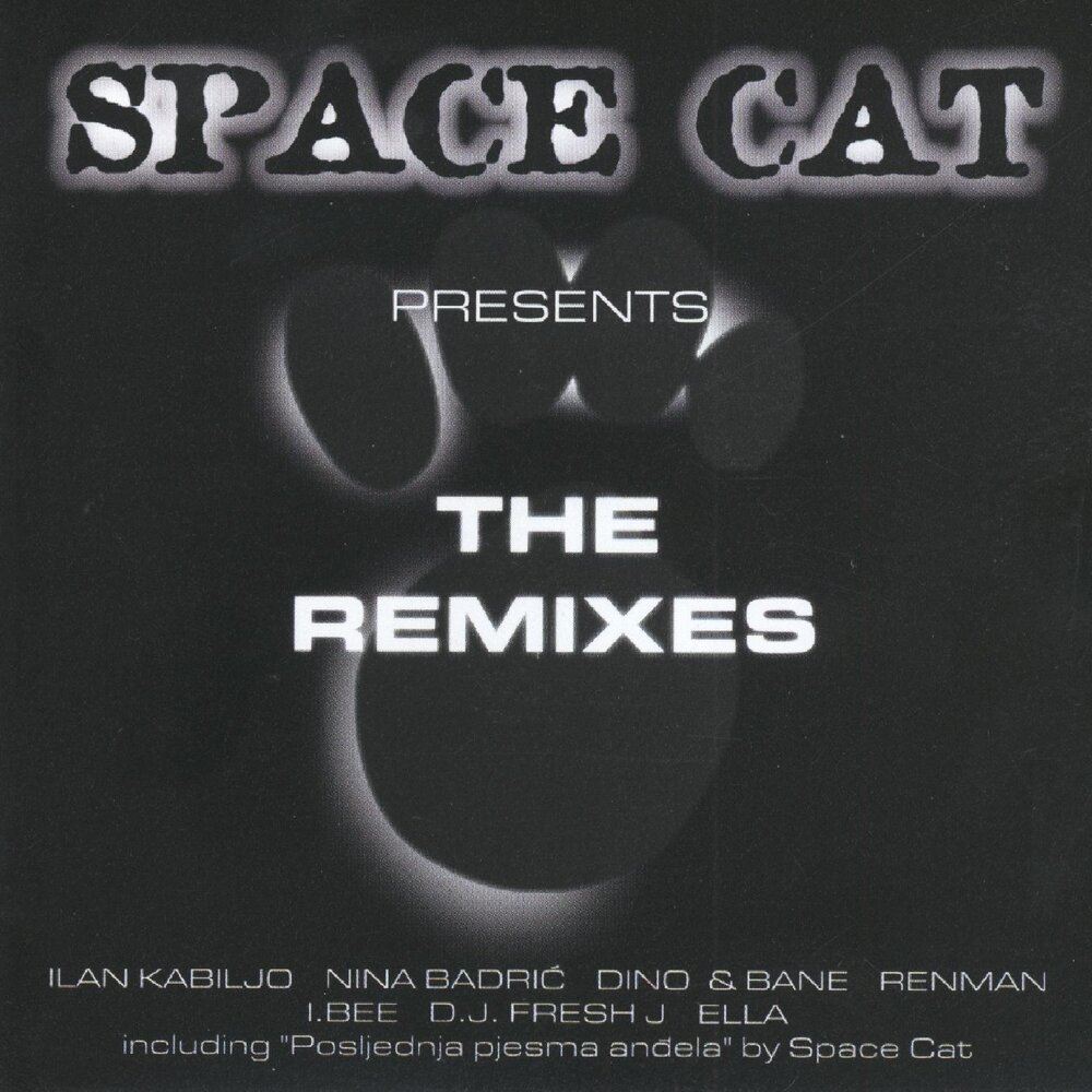 Черный кот ремикс. Cat remix. слушать музыку спейс ремикс. copycat remix.