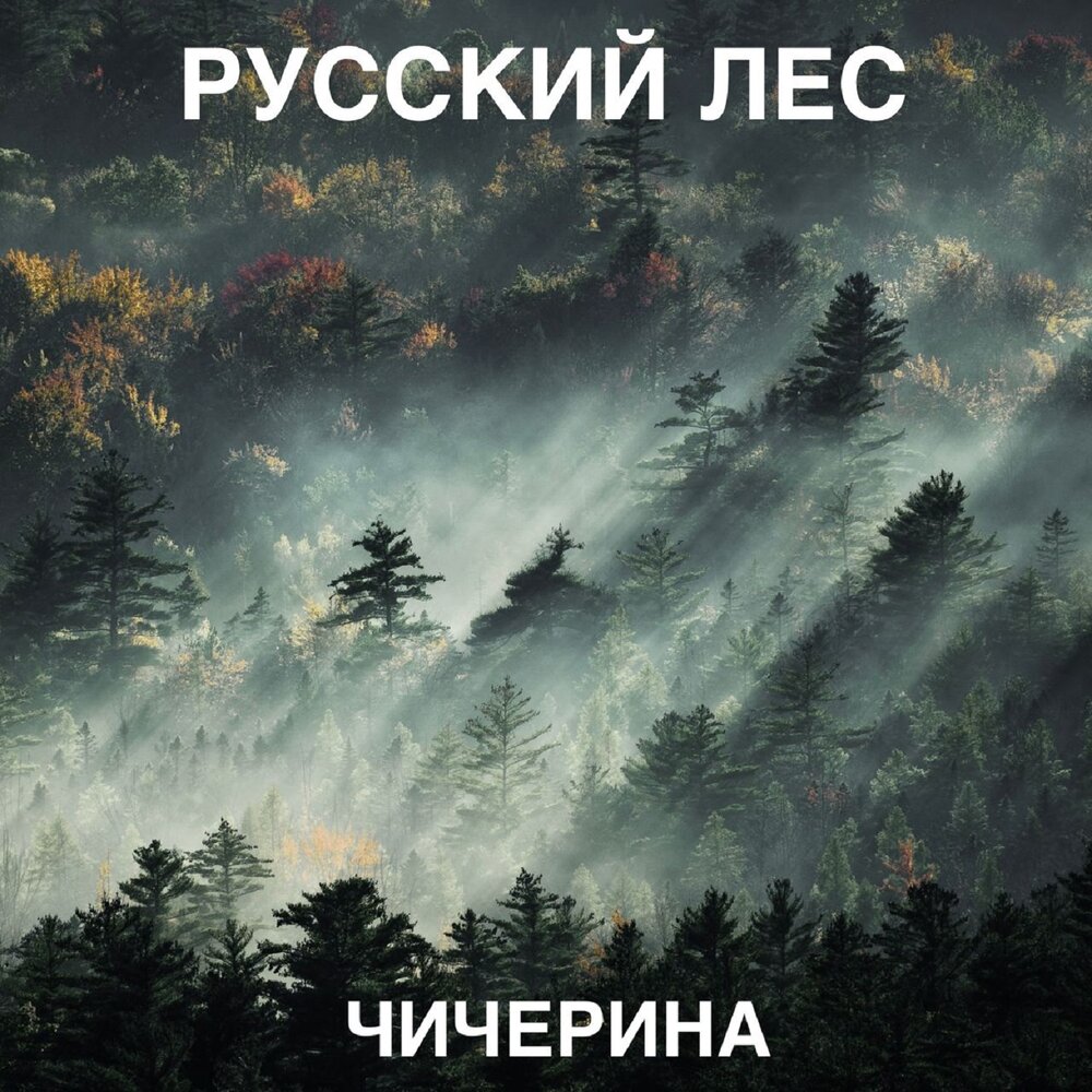 Чичерина альбом Русский лес слушать онлайн бесплатно на Яндекс Музыке в ...