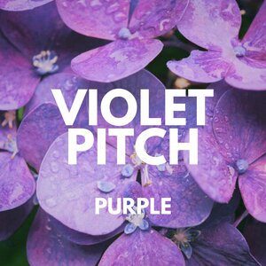 Violet Pitch - Alma Best