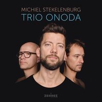 Michiel Stekelenburg