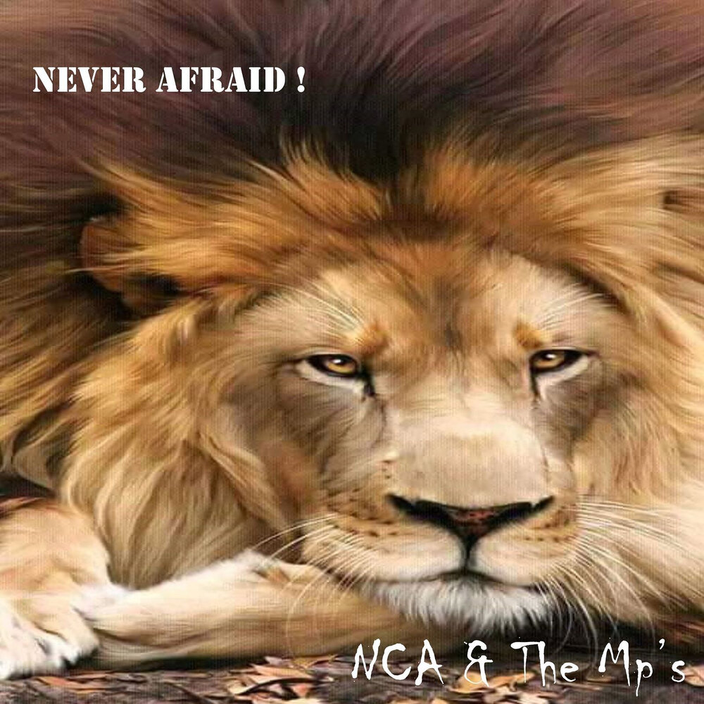 Never be afraid. Never afraid. Never be afraid. Never be afraid. Never afraid.