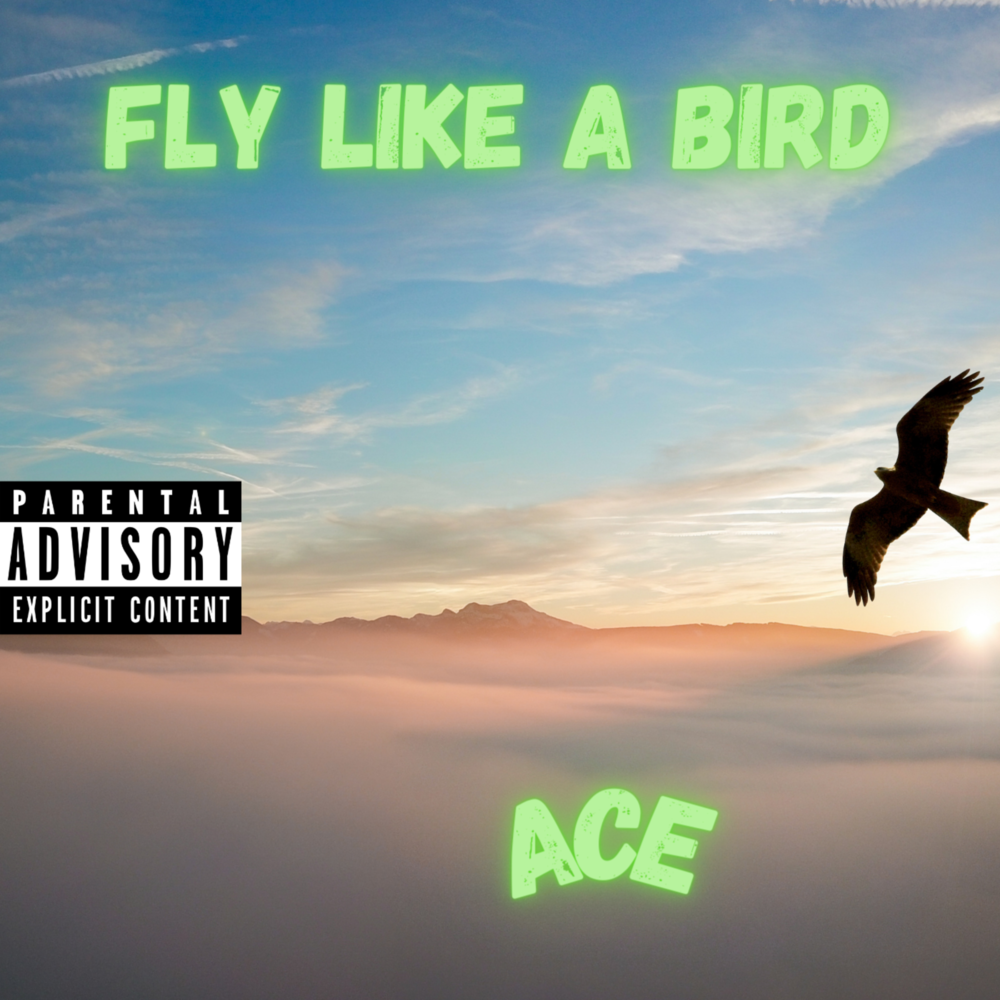 Песня fly like. Fly like a Bird. Fly like a Bird 3. Fly like a Bird 4. I can Fly like a Bird Song.