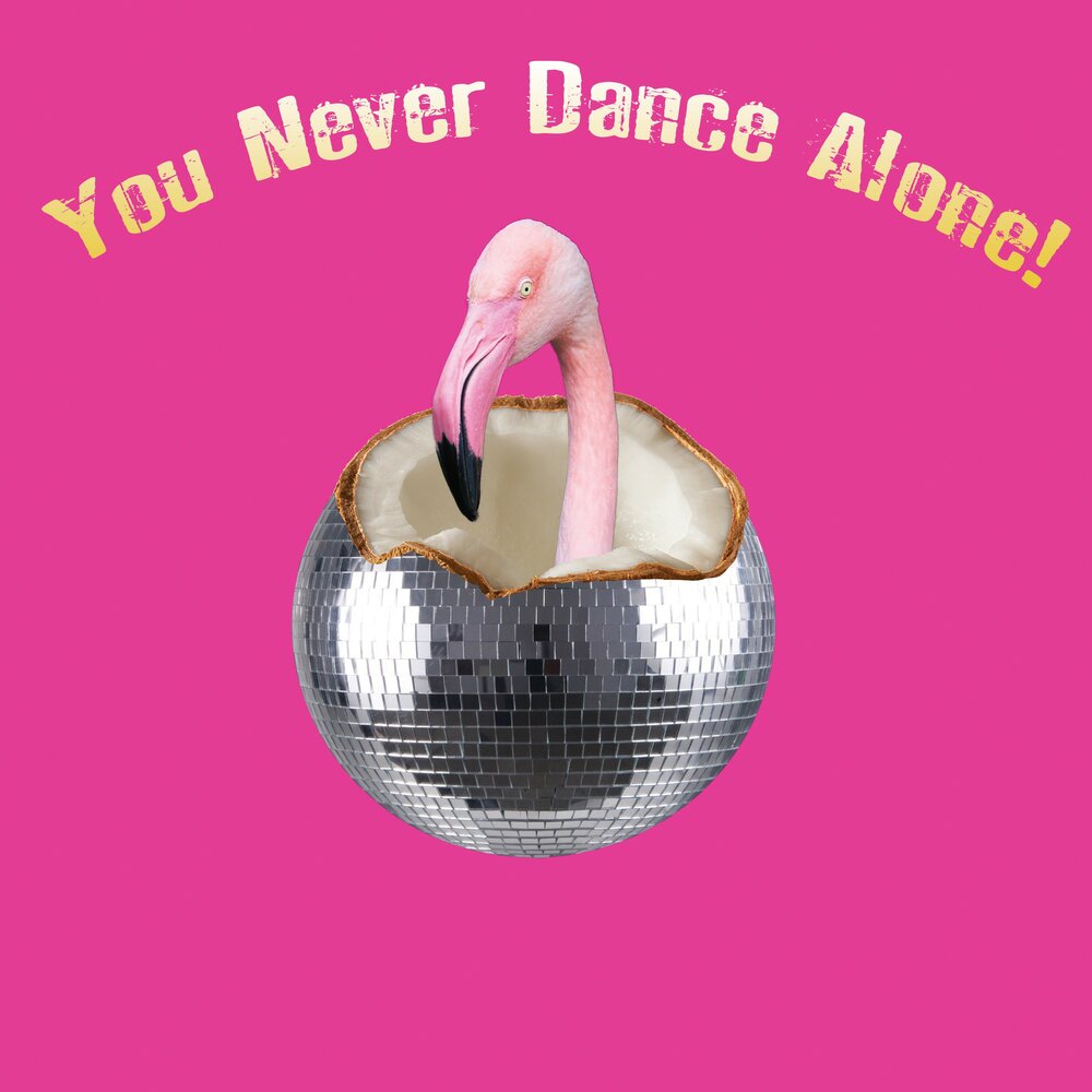 Never never dancer