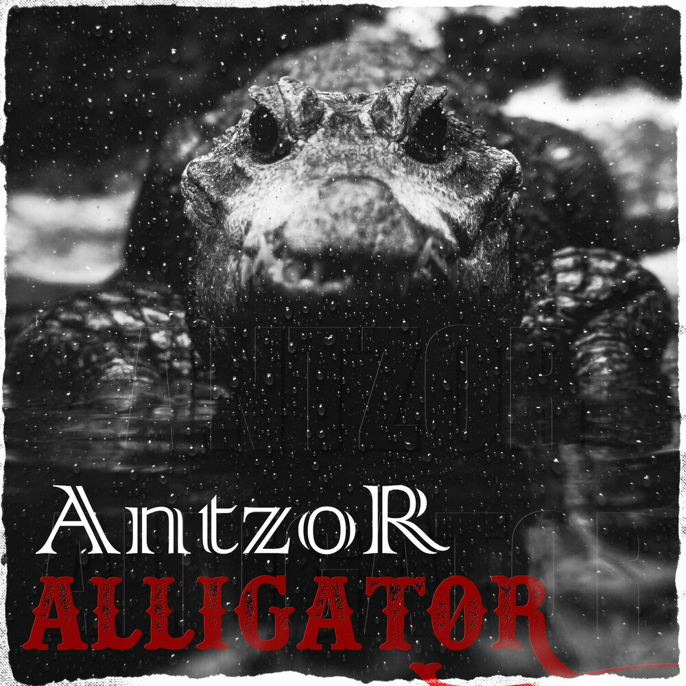 I want to stay quattroteque antzor. Music Alligator. Antzor Mind your own Business.