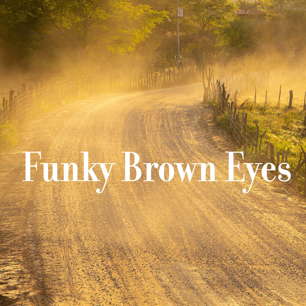 Funky brown. Пыль дорог. Золотая пыль на дороге. Dust Road. Warm weather.