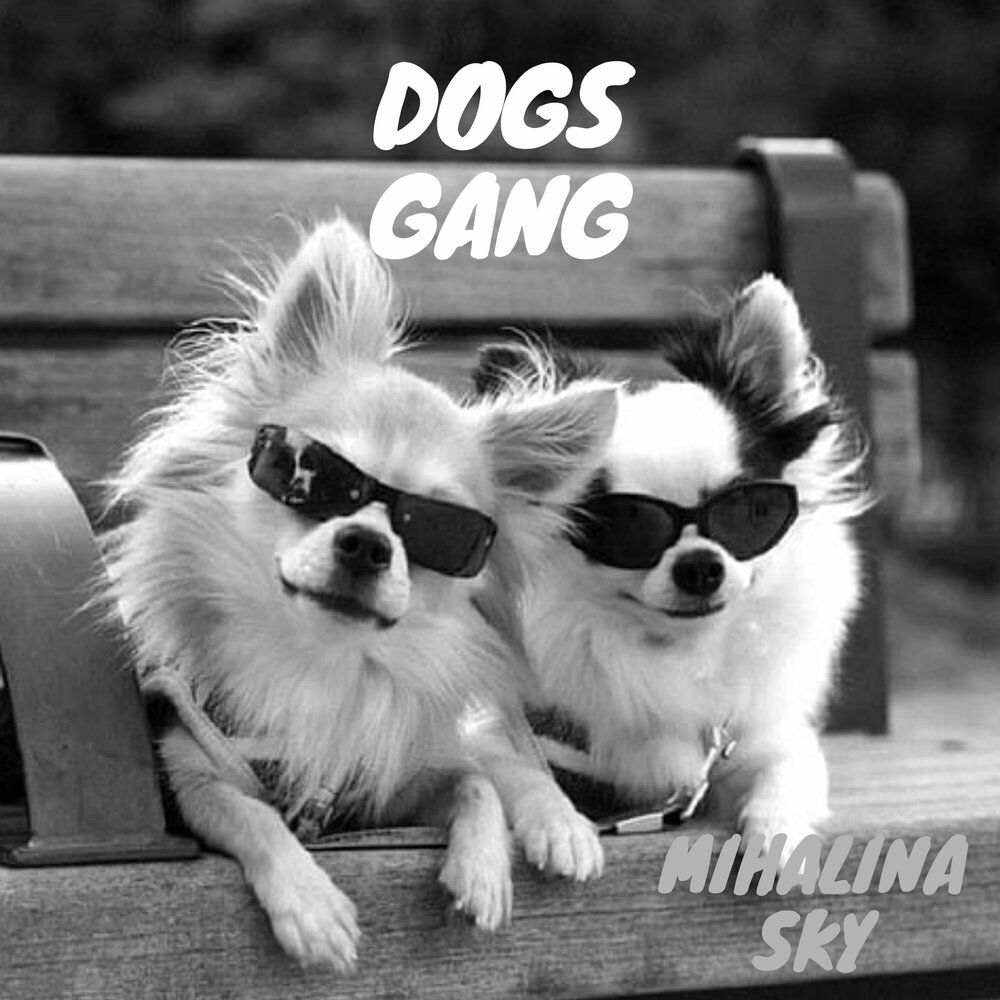 Dog gang