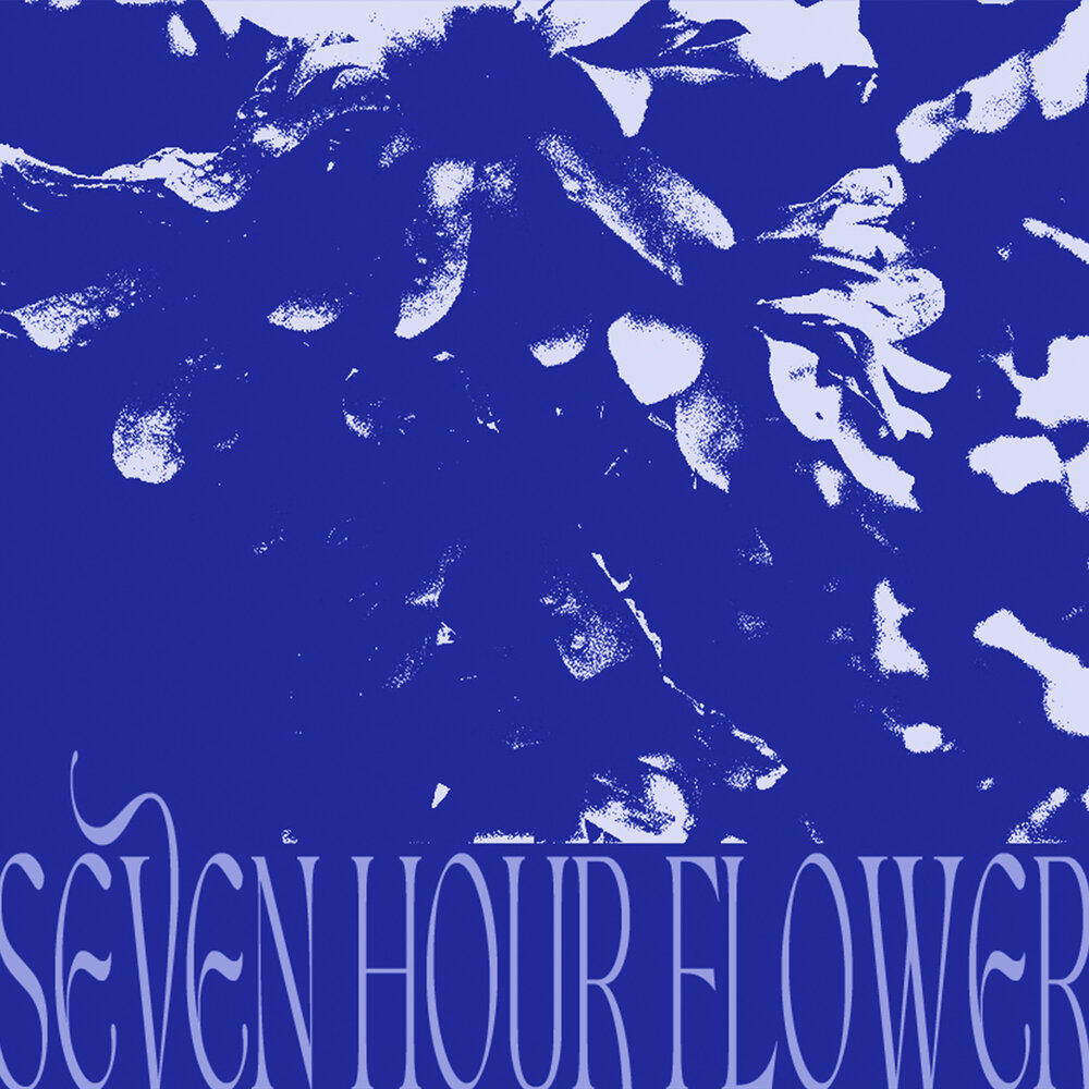 Seven hour