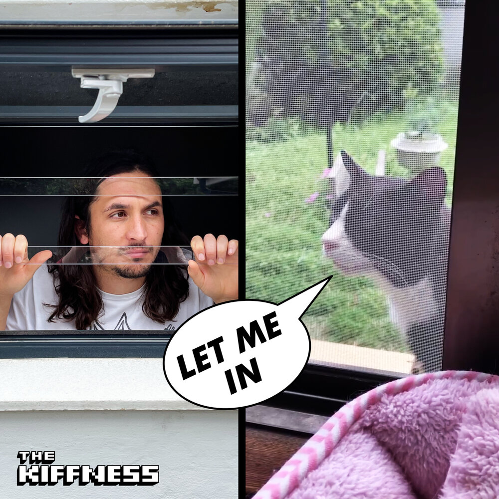 Kiffness sometimes. Let me in the kiffness. kiffness перевод. kiffness слушать. &quot;the kiffness&quot; &amp;&amp; ( исполнитель  группа  музыка  music  band  artist ) &amp;&amp; (фото  photo).