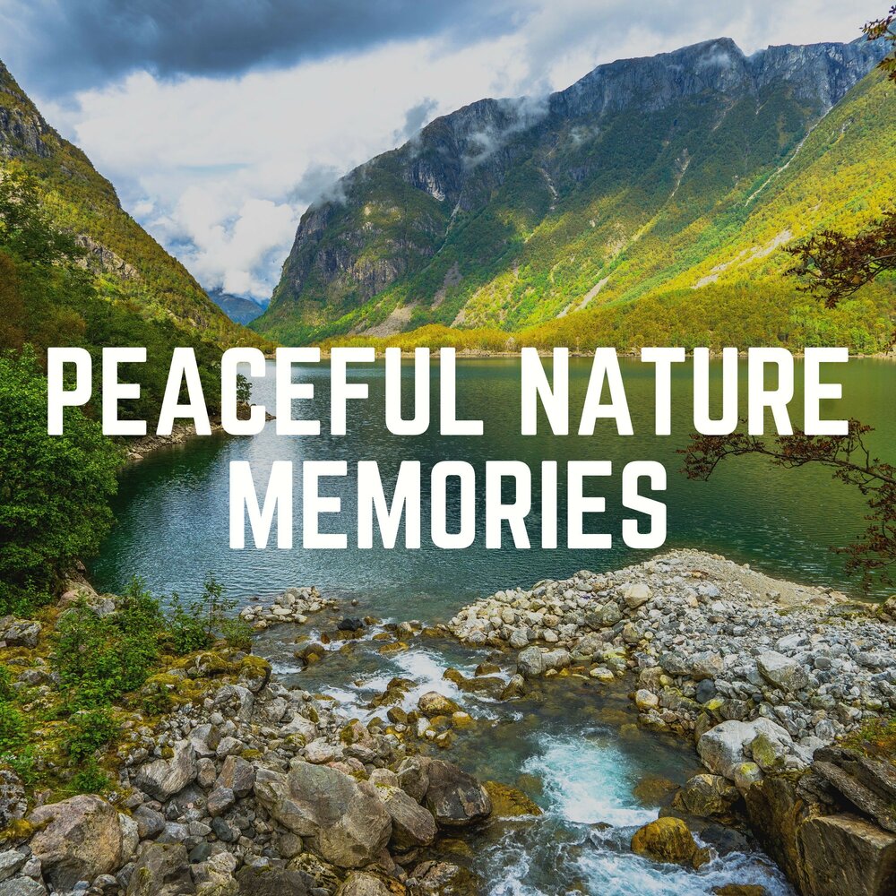 Nature memory