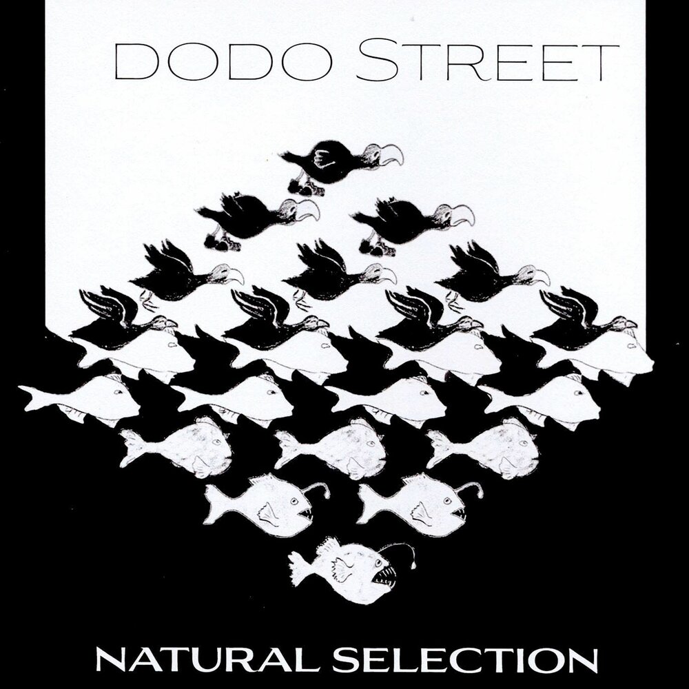 Dodo песня. Dodo Street. Selections группа natural selection. Dodo песни.