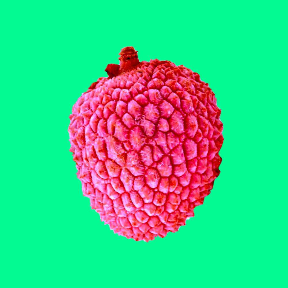 Le fruit