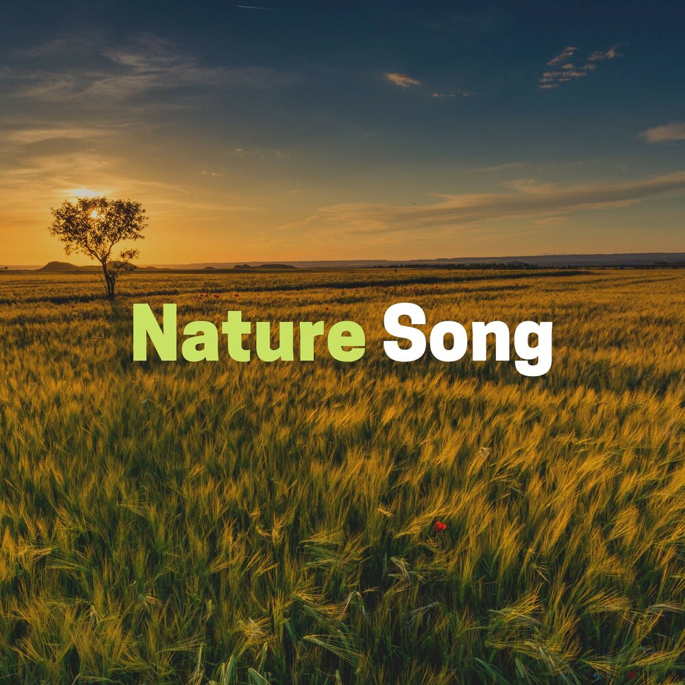 Nature song