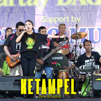 artist-cover