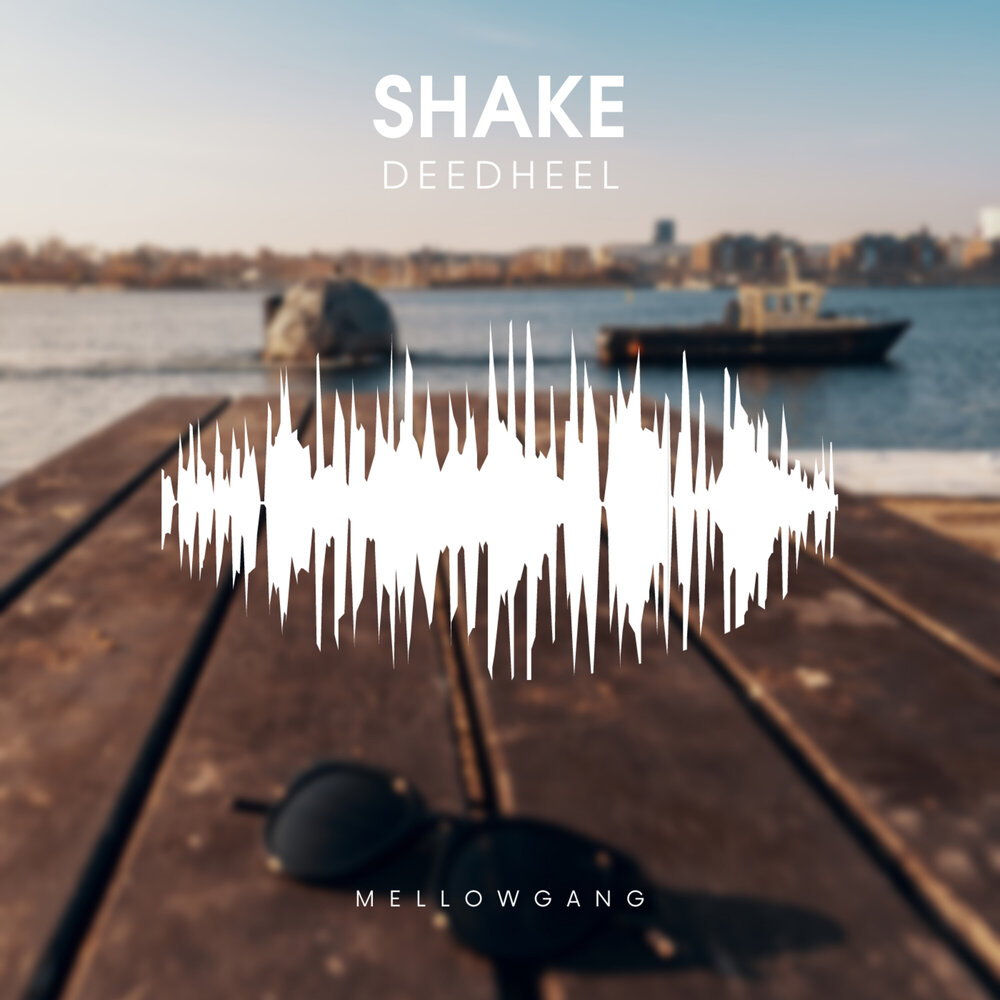 Shake original mix