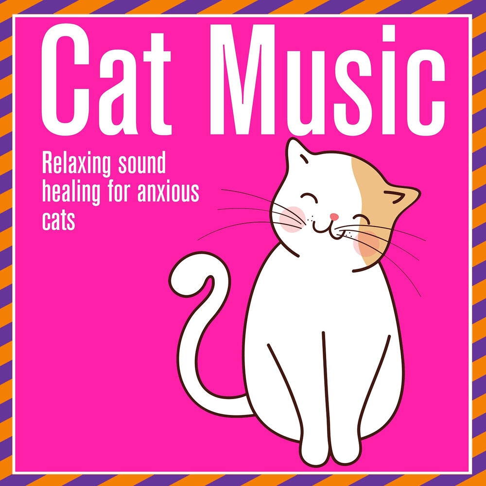 Music for cats. Кэт Мьюзик. Дримс для кошек реклама. Кэт зона. Кэт дрэмот.