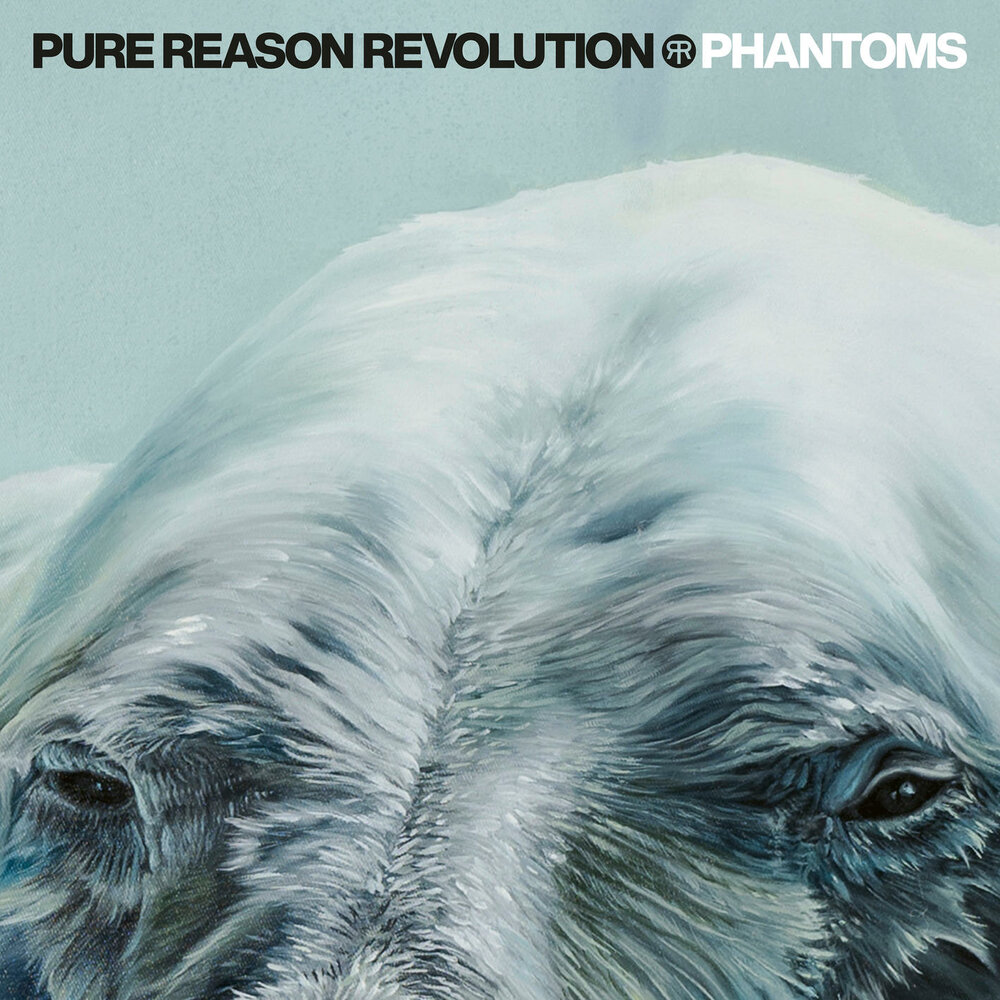 Pure reason revolution coming up to consciousness. Pure reason revolution coming up to consciousness