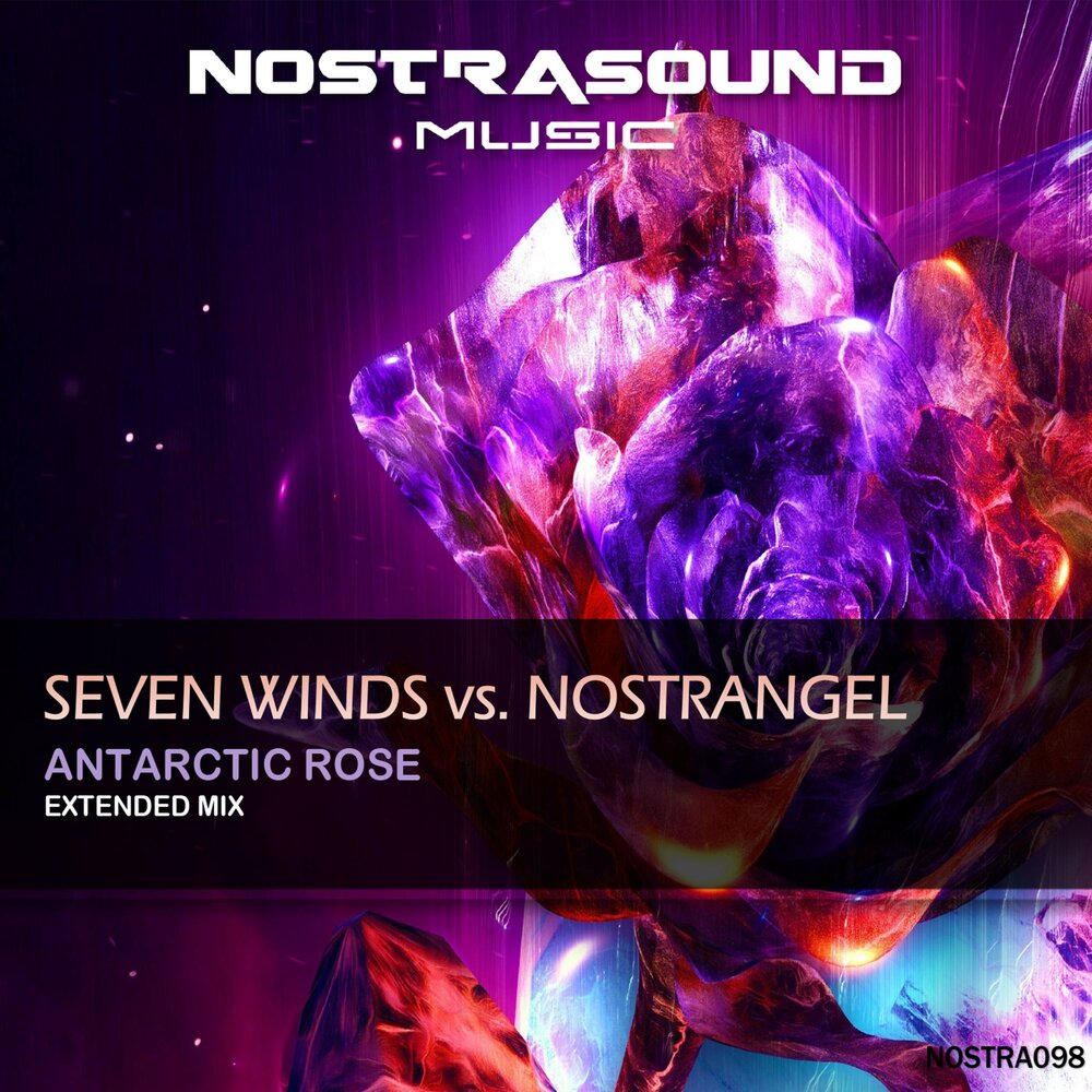Seven winds. Севен виндс студио. Etasonic - roses (extended mix). Краска bad girl wild wild rose на волосах. Вайт альбом.