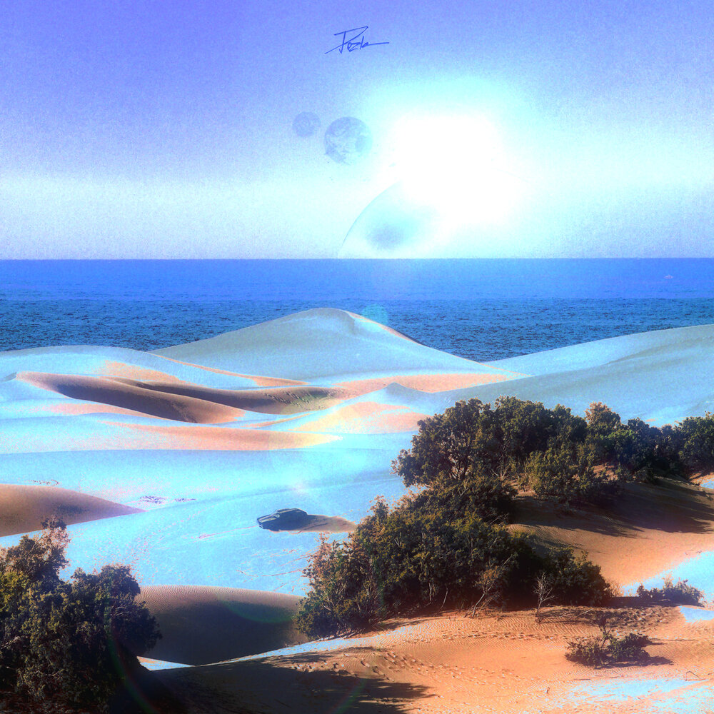 John dahlback winners & fools. Go stupid перевод. Fools remix. Stupid bitch. Stupid love.