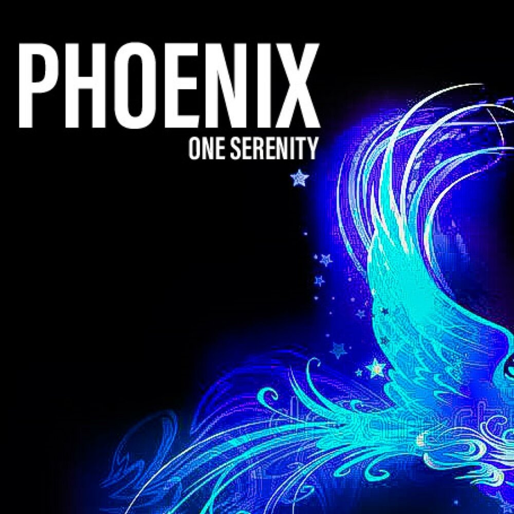 1 phoenix. Интернет на один день Феникс.