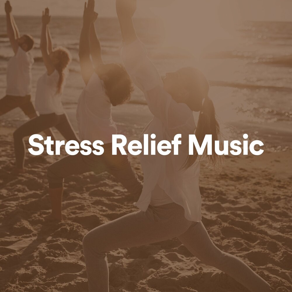 Stress Relief Music. Anti stress музыка. No stress песня 2022.