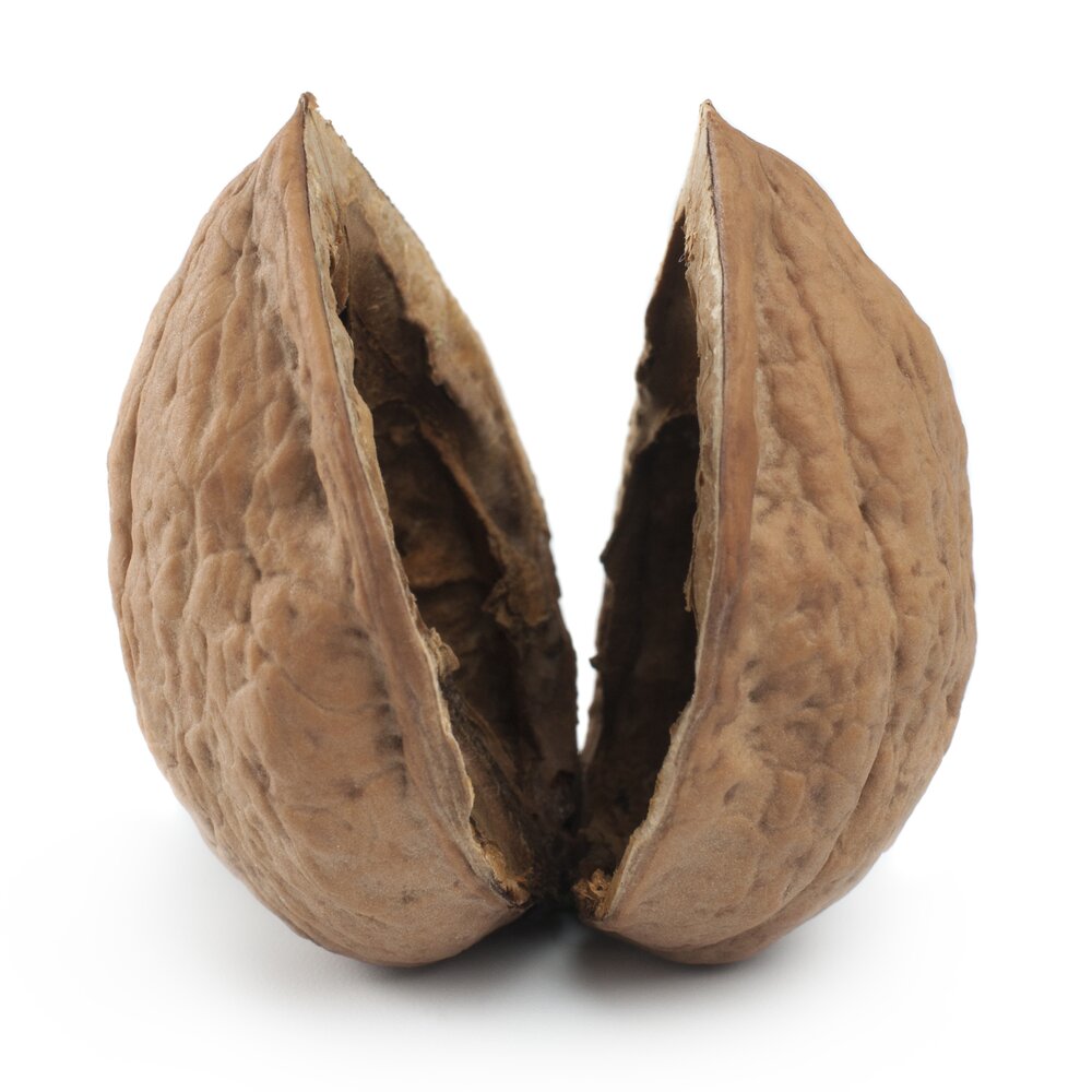 скорлупа грецкого ореха дюймовочка. пуста орех. корлупка грецкого ореха. орех пустой внутри. грецкий орех в скорлупе.