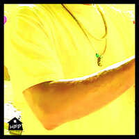 artist-cover