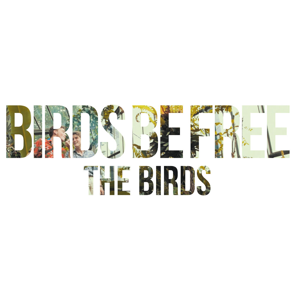 Book bird. Listen to the birds. Звук пения пти. Книга singing bird. Listen the birds sing.