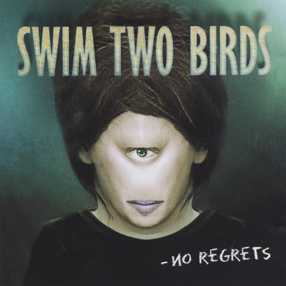 Listen the birds. Исполнитель Swim. Regrets. No regrets. At Swim two Birds Covers.