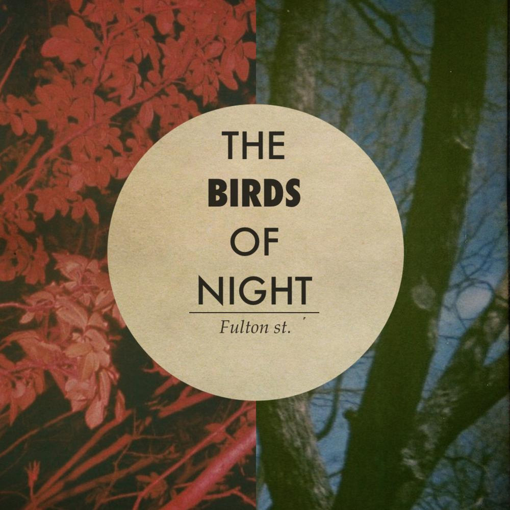 К. Birds in the night city. Фрост истон. Постер две птицы черные. The night birds.