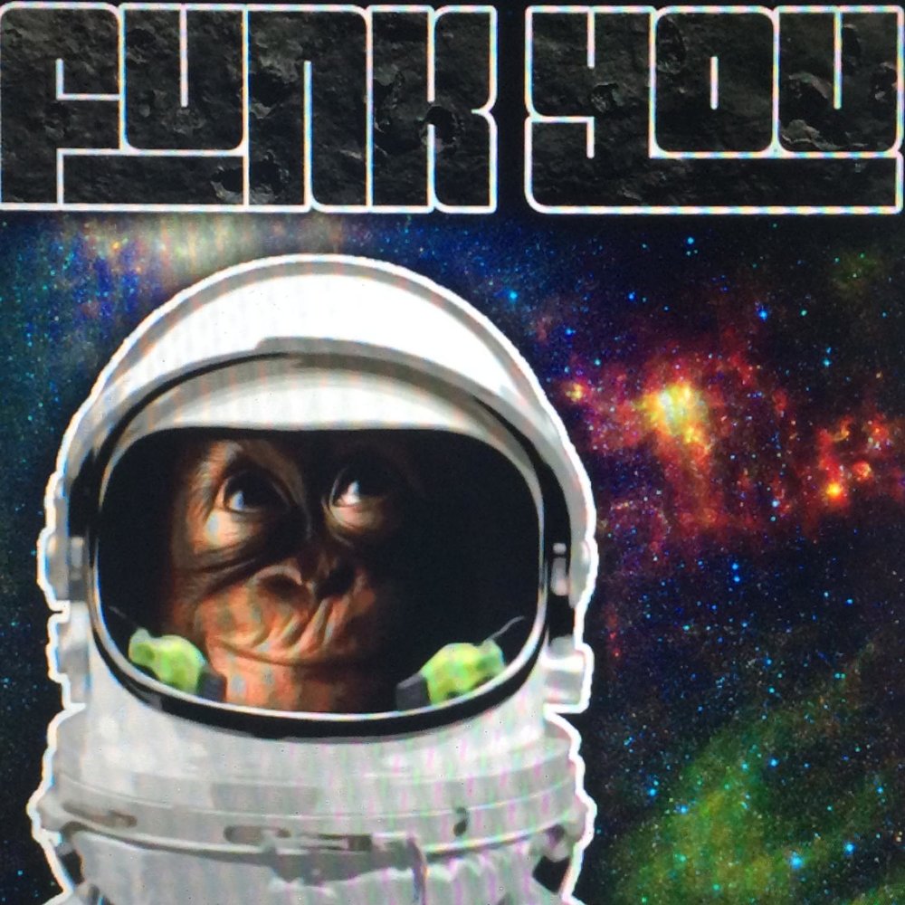 Space monkey. Album Art Space Monkey. Monkey Space DJ фото. Space Monkey program.