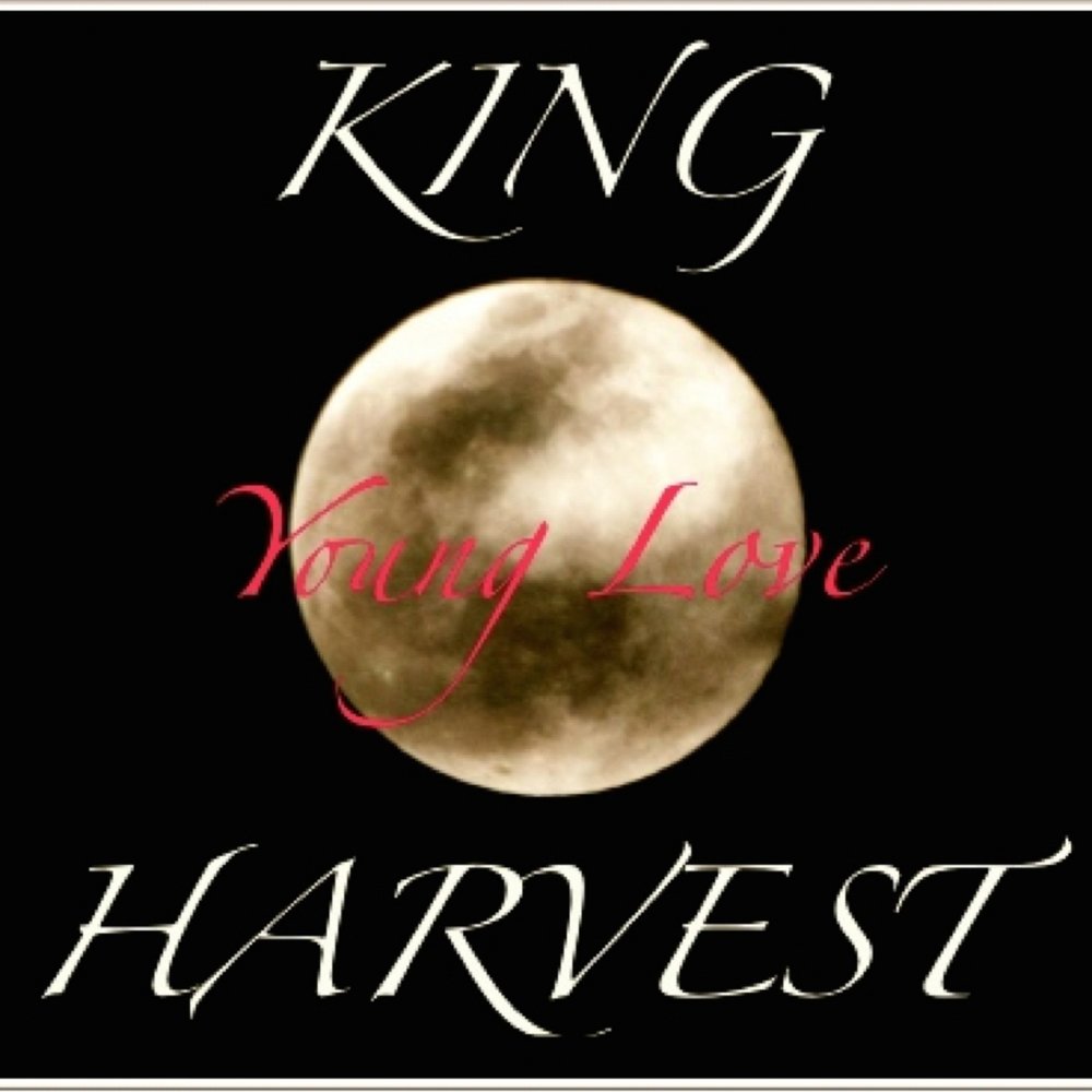 King harvest. Кинг Харвест. King Harvest Dancing in the Moonlight. "King Harvest" && ( исполнитель | группа | музыка | Music | Band | artist ) && (фото | photo).