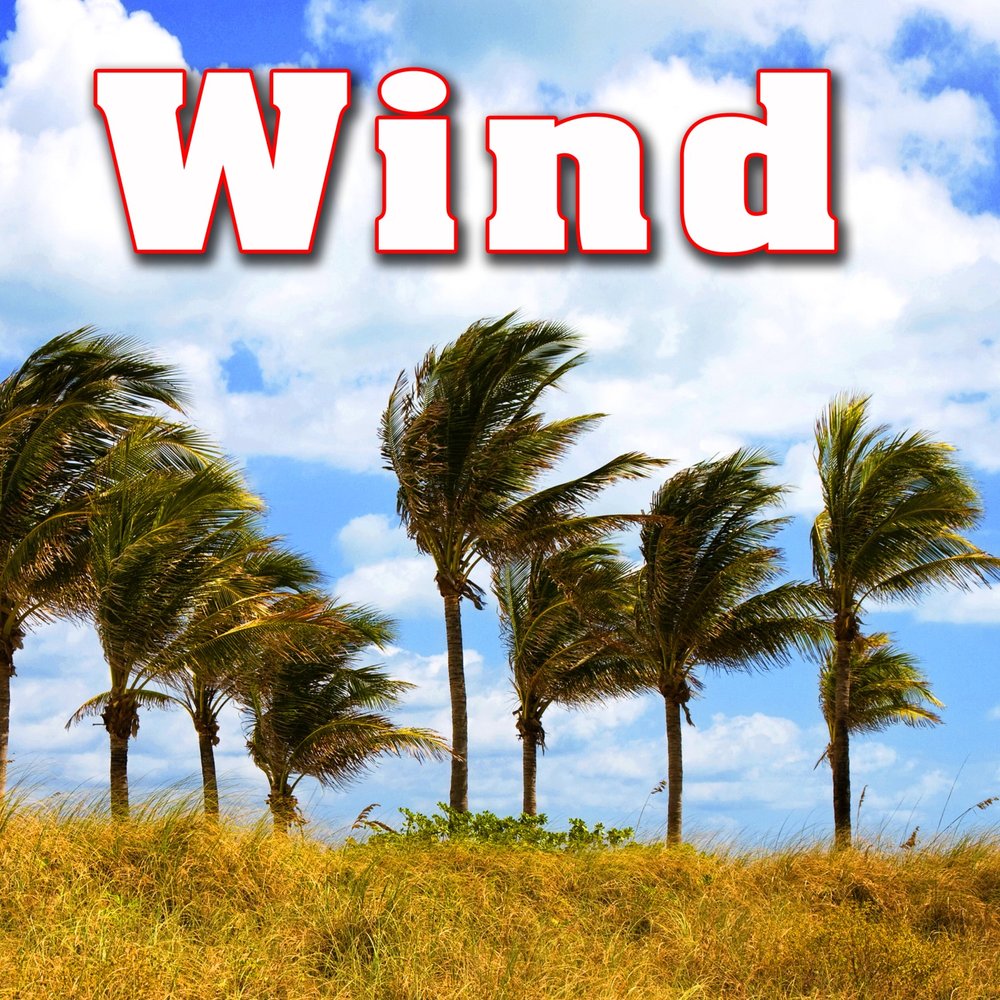 Wind media. Wind Sound. FX ветер. Intense Wind. Wind Whistling through the Trees.