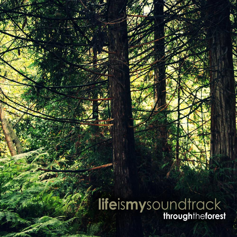 Through the trees. Фото на аву на тему лес это жизнь. Woods in my Life DX. In the Shade under the Shade.