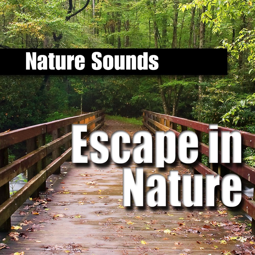 Nature escapes. Escape in nature. Nature by nature слушать. Nature слушать. Nature's Escape Coaching.